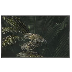 KENTIA Wall Art