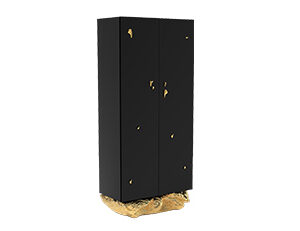 ANGRA CABINET