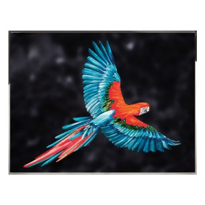 PARROT Wall Art