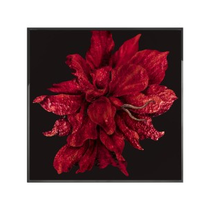 RED FLOWER Wall Art
