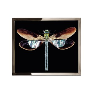 LIBELLULA MINI Wall Art