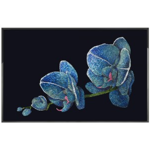 ORCHIDEA BLU Wall Art