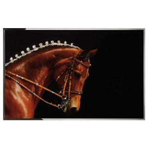 CAVALLO Wall Art