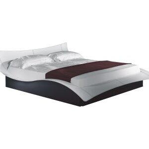 BUTTERFLY LETTO