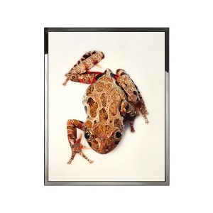 RANA Wall Art