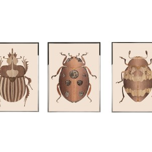BEETLE Wall Art