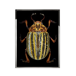 COLEOTTERO GIALLO Wall Art