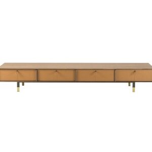 BAYUS Cabinet