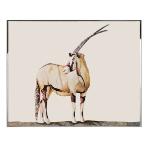 ANTILOPE Wall Art