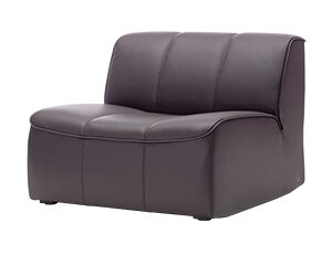 ds-910