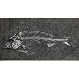 LISCA DI PESCE Wall Art