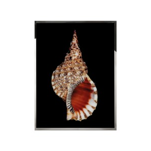 TRITONIS Wall Art