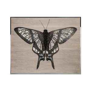 DANAUS Wall Art