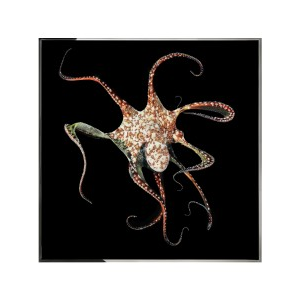 PIOVRA Wall Art