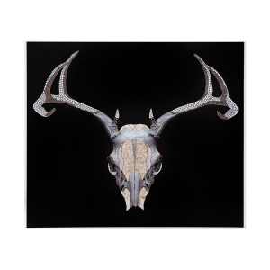 TROFEO CERVO Wall Art