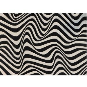 LISA Carpet