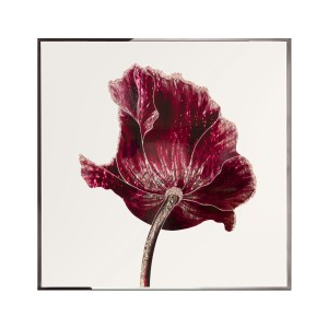 OPIUM Wall Art