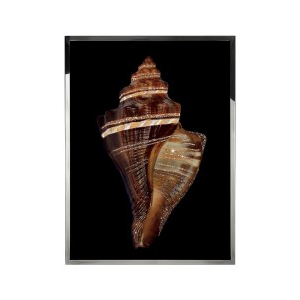 PUGILINA Wall Art
