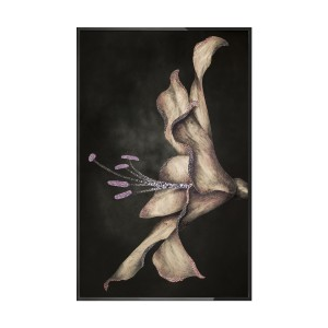 LILIUM FOSSILE Wall Art
