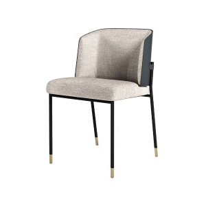 V242 Dining Chair