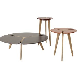 FLYING FLOWERCoffee Table