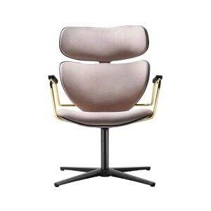 Asia Swivel