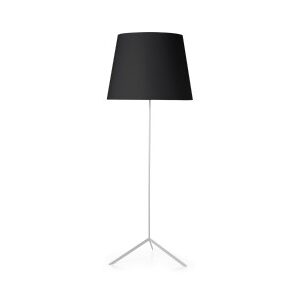 Double Ground Light