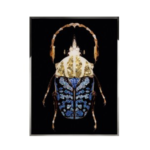 COLEOTTERO Wall Art