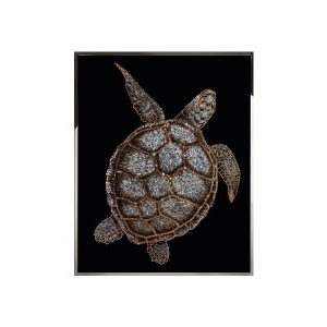 TARTARUGA Wall Art