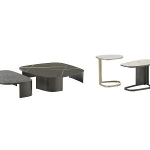KOISHI Coffee Table