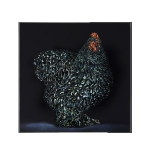 GALLO CEDRONE Wall Art