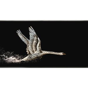 SWAN Wall Art