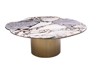 Coffee Table Shapiro