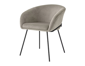 Dining Chair Campus