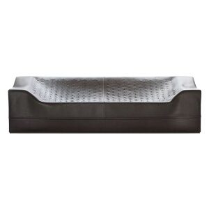 Skin loveseat